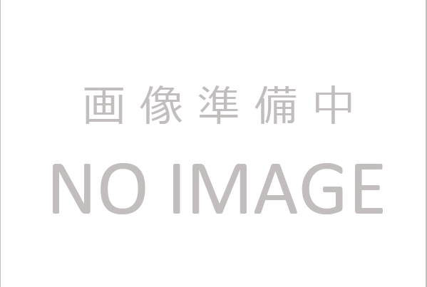 自動車用スプリング カタログイメージ